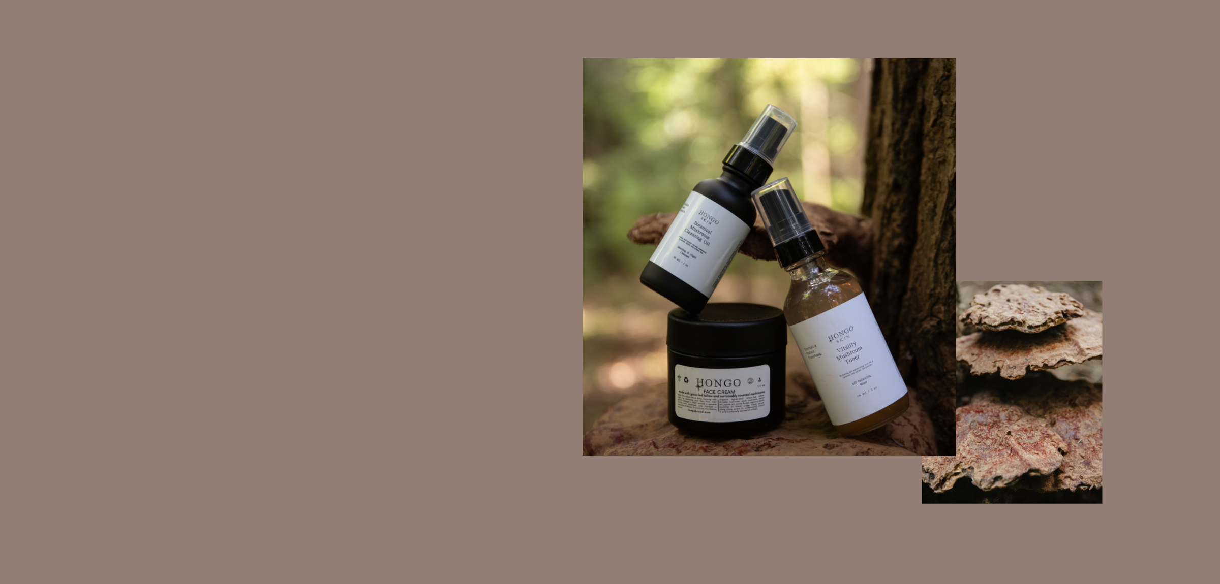 Hongo Skin natural skincare products displayed on Reishi mushrooms growing on a tree trunk, representing the brand's commitment to natural ingredients and sustainable beauty practices. Hongo Botanical Mushroom cleansing Oil, Hongo Vitality Mushroom  Toner, Hongo Mushroom Face Cream.