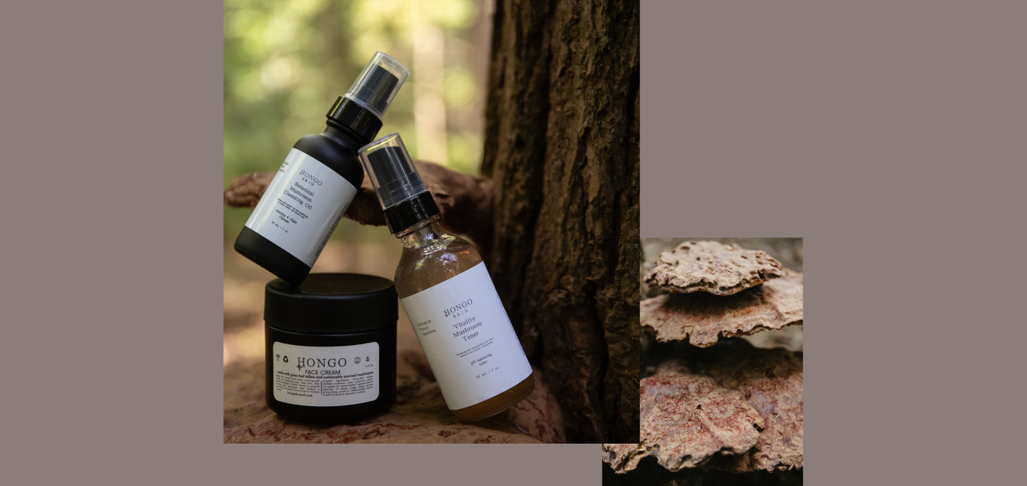 Hongo Skin natural skincare products displayed on Reishi mushrooms growing on a tree trunk, representing the brand's commitment to natural ingredients and sustainable beauty practices. Hongo Botanical Mushroom cleansing Oil, Hongo Vitality Mushroom  Toner, Hongo Mushroom Face Cream.